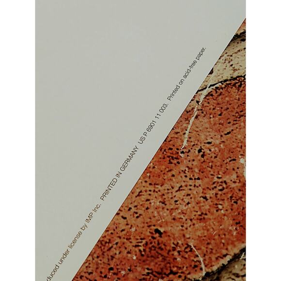 Giraffe - Ohne Sorge - 1999 Vtg‎ ART PRINT - 7"x10" - Unique Wall Decor - Picture 8 of 8